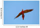 scarlet macaw closing Wall Mural