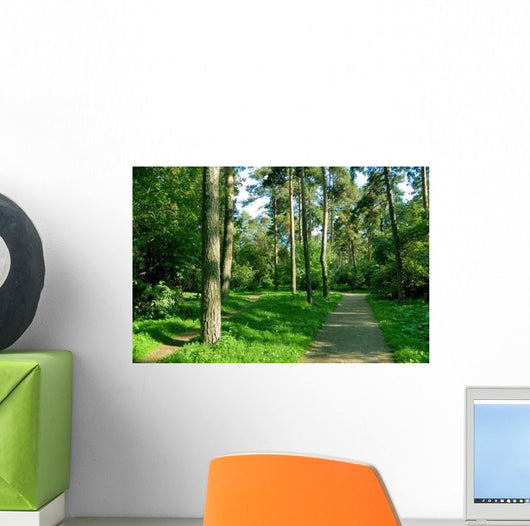 Forest Walk Wall Decal