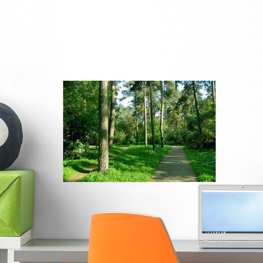 Forest Walk Wall Decal