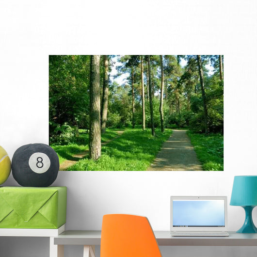 Forest Walk Wall Decal