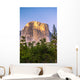 View of landmark El Captain formation from Yosemite National Park Wall Mural
