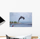 Doplphin Dolphin Research Center Wall Mural