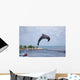 Doplphin Dolphin Research Center Wall Mural