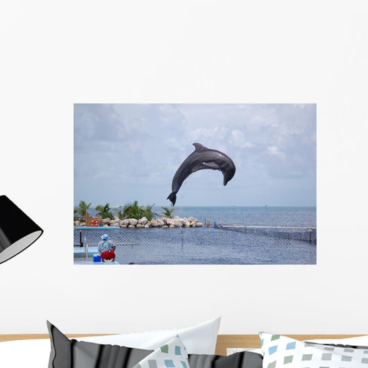 Doplphin Dolphin Research Center Wall Mural