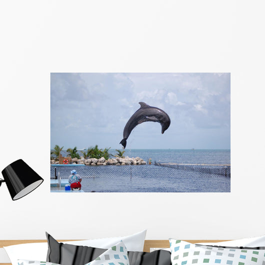 Doplphin Dolphin Research Center Wall Mural