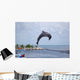Doplphin Dolphin Research Center Wall Mural