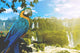 Blue and Yellow Macaw in Iguazu Falls Wall Mural