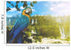 Blue and Yellow Macaw in Iguazu Falls Wall Mural