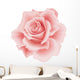 Flower Decals - Pink Rose Wall Decal