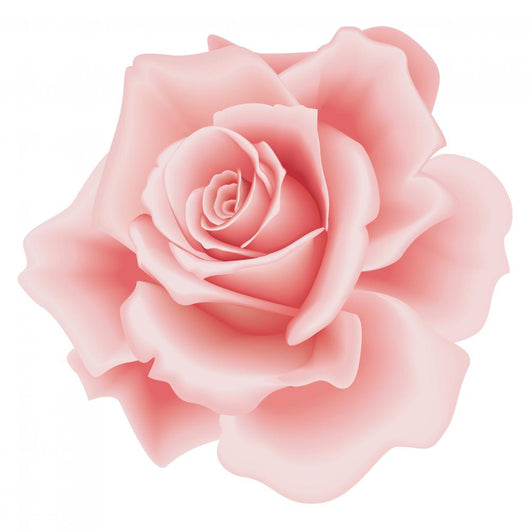 Pink Rose Wall Decal – Wallmonkeys