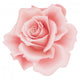 Flower Decals - Pink Rose Wall Decal