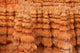Bryce Canyon Hoodoos Wall Mural