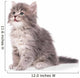 Cute fluffy kitten Wall Decal