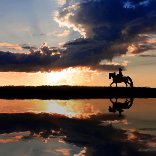 Horseback Riding on Coastline on Sunset Wall Mural