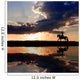 Horseback Riding on Coastline on Sunset Wall Mural