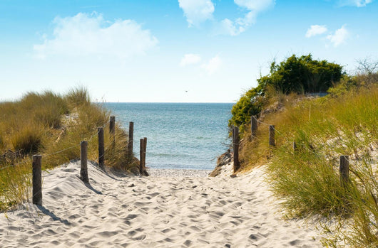 Baltic dune Wall Mural