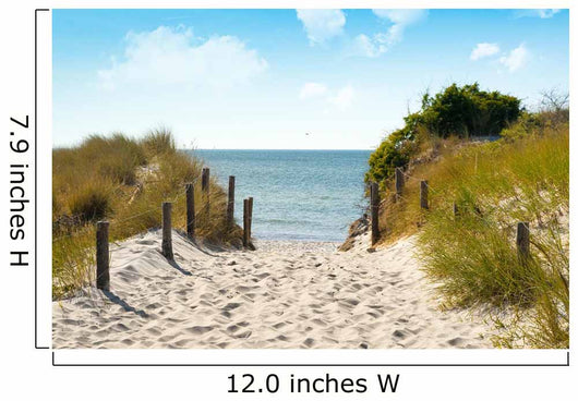 Baltic dune Wall Mural