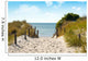 Baltic dune Wall Mural