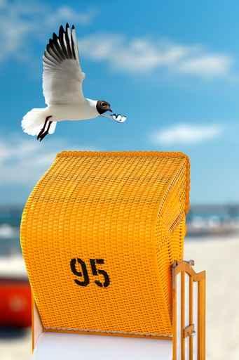 Beach Chair Wall Decal Design 1