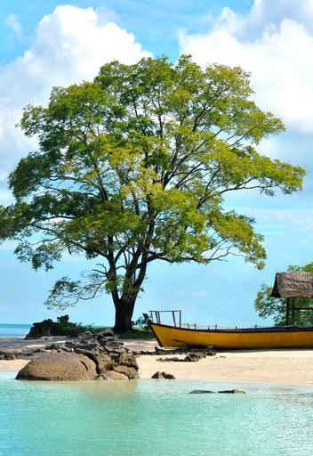 Beautiful Beach with Large Wall Decal