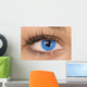 Blue Eye Wall Mural