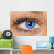 Blue Eye Wall Mural