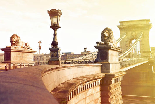 Chain Bridge in Budapest Wall Mural