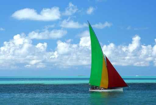 Regatta Wall Decal