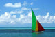 Regatta Wall Decal