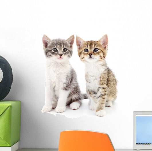 Two small kittens Wall Decal