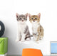 Two small kittens Wall Decal