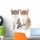 Two small kittens Wall Decal