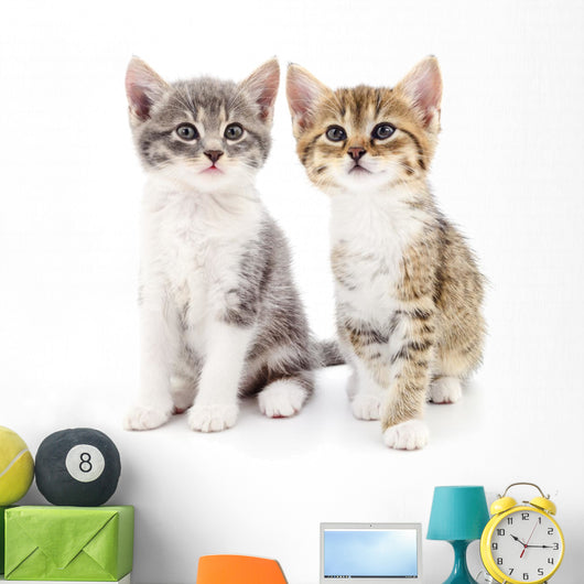 Two small kittens Wall Decal