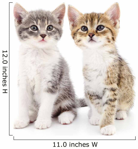 Two small kittens Wall Decal
