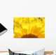 Sunflower Wall Mural