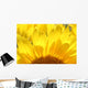 Sunflower Wall Mural