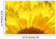 Sunflower Wall Mural