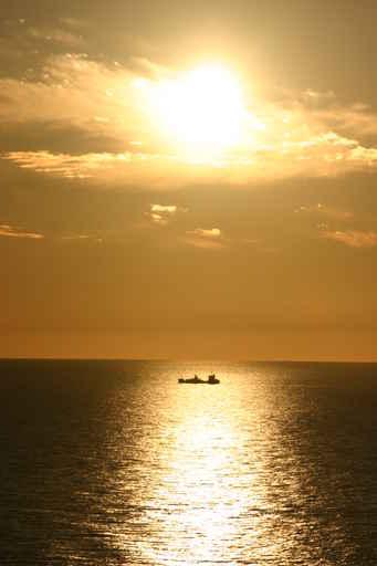 Sunset Wall Decal Design 2