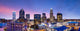 Downtown Charlotte North Carolina Panorama Skyline Wall Decal