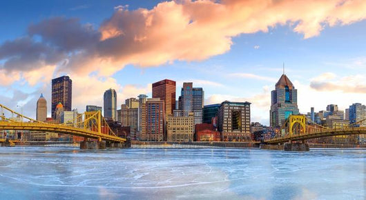 Skyline Downtown Pittsburgh Twilight Wall Decal