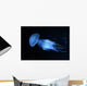 Jellyfish Wall Mural