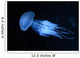 Jellyfish Wall Mural