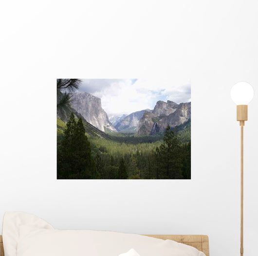 Olympus Digital Camera Wall Decal