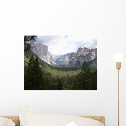 Olympus Digital Camera Wall Decal