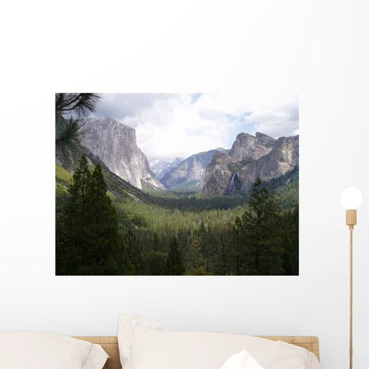 Olympus Digital Camera Wall Decal
