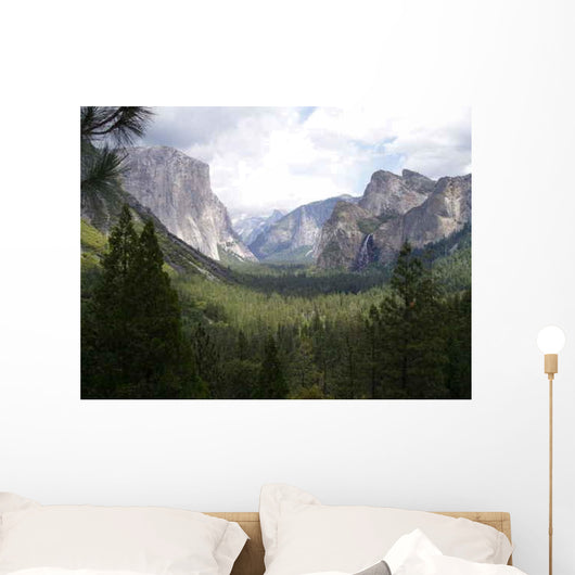 Olympus Digital Camera Wall Decal