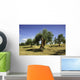 Olive field, Umbria, Italy Wall Mural