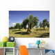 Olive field, Umbria, Italy Wall Mural