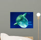 Sunfish Wall Decal