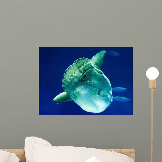 Sunfish Wall Decal